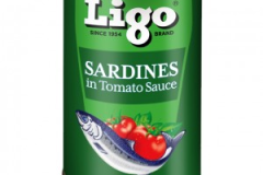 ligosardines